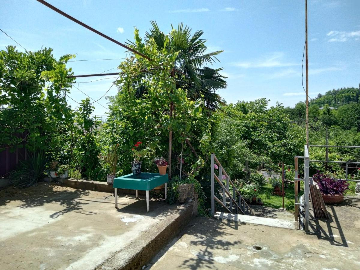 Nunu'S Guesthouse Tskaltubo ภายนอก รูปภาพ